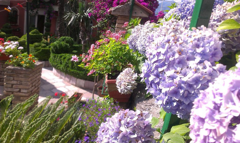 Apartment City Garden Kotor Cameră foto