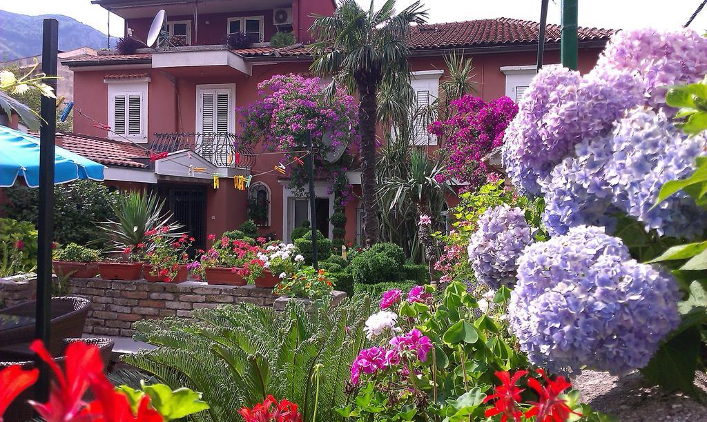 Apartment City Garden Kotor Cameră foto